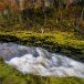 Bolton Abbey 071109_7_1